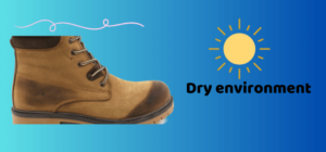 How to Keep Shoes From Dry Rot
